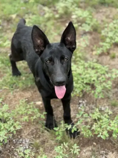 Fiona photo 2