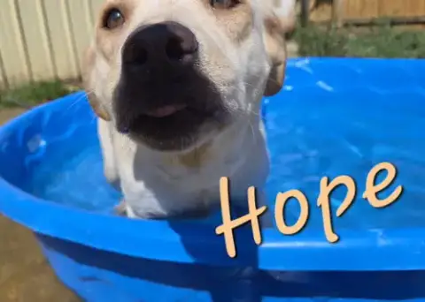 Hope photo 5