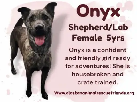 Onyx photo 2