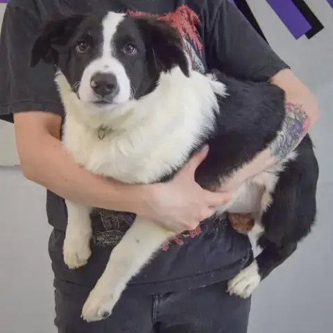 Reggie photo 2