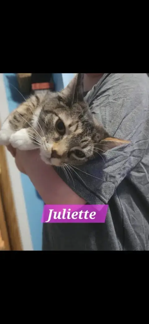 Juliette