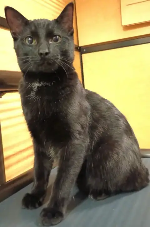 Jethro photo 4