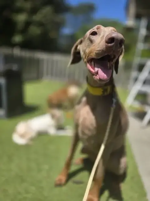 Marley Mae photo 4