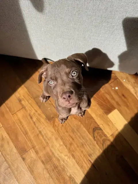 Cooper photo 3