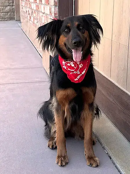 Daisy Ann photo 2