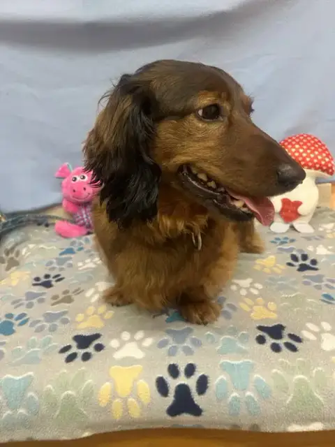 Frank