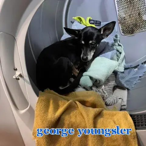 George Youngster photo 3