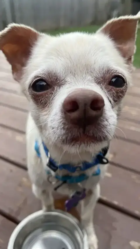 Chance