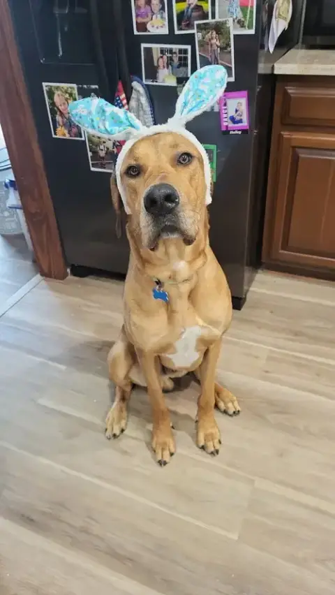 Charley