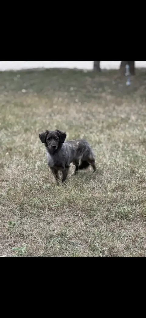 Coco photo 2