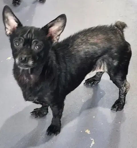 Radar