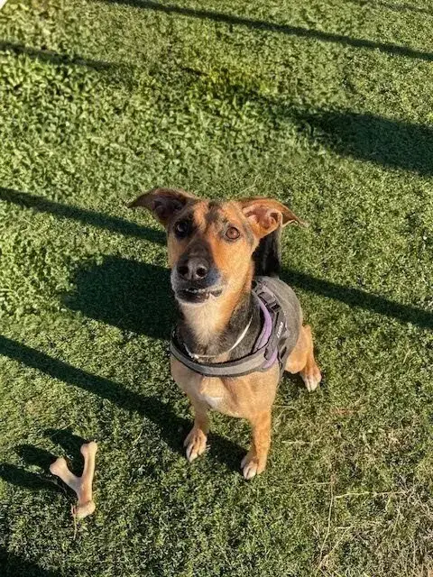 Luna photo 2