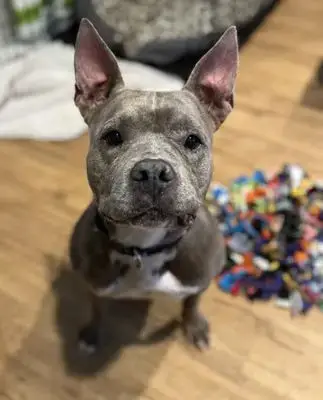 Diamond