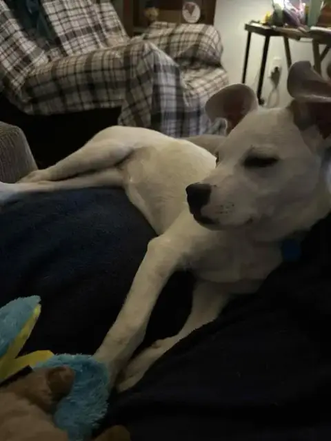 Riley photo 4