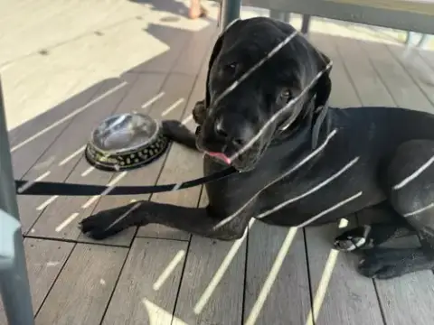 Athena photo 5