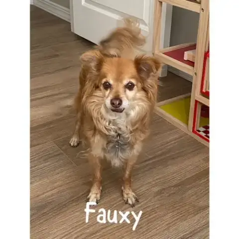 Fauxy photo 3
