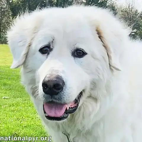 Arlo In Ky