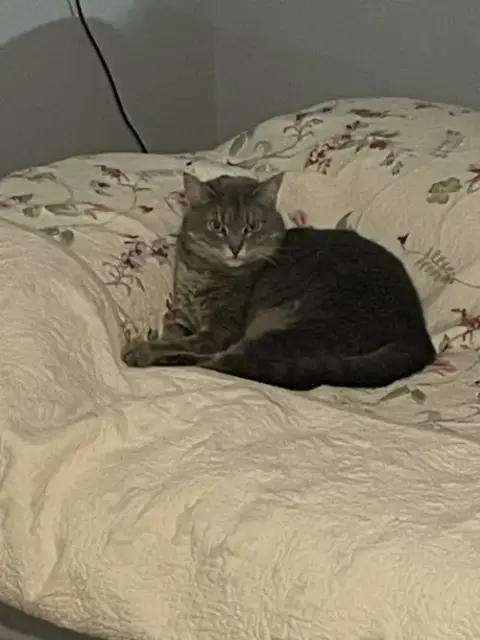 Rosie photo 4