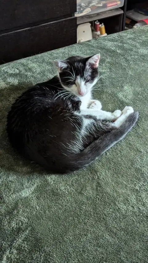 Sophie W photo 3