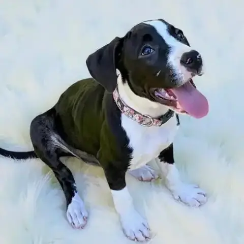 Daisy Lou photo 2