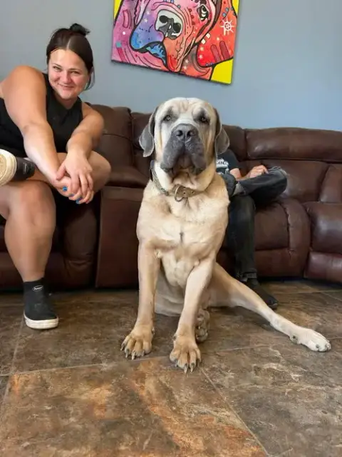 Enzo