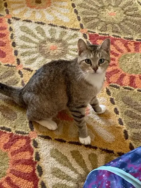 Juno