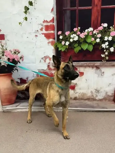 Eloise