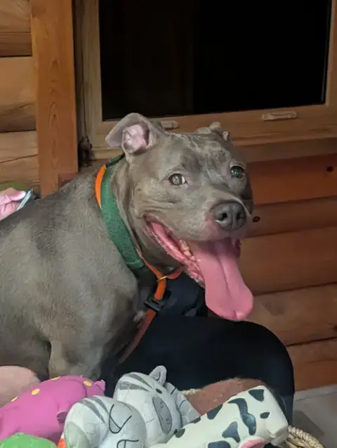 Subbie photo 2