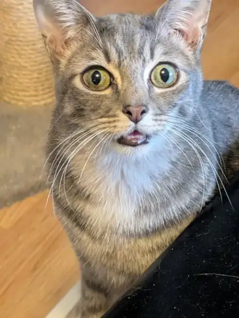 Nickel