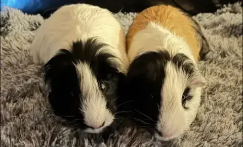 Oreo And Caramel