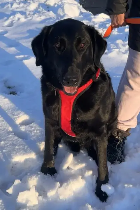 Buddy photo 2