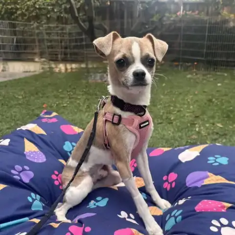 Finley