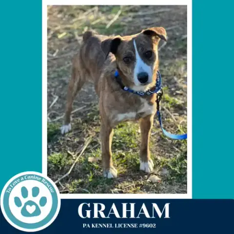 Graham 031426 photo 3
