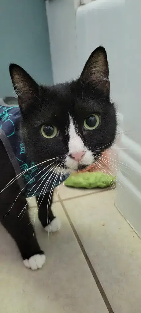 Delilah photo 3