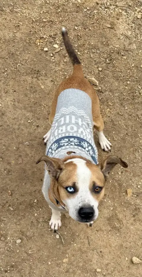 Zeus photo 3