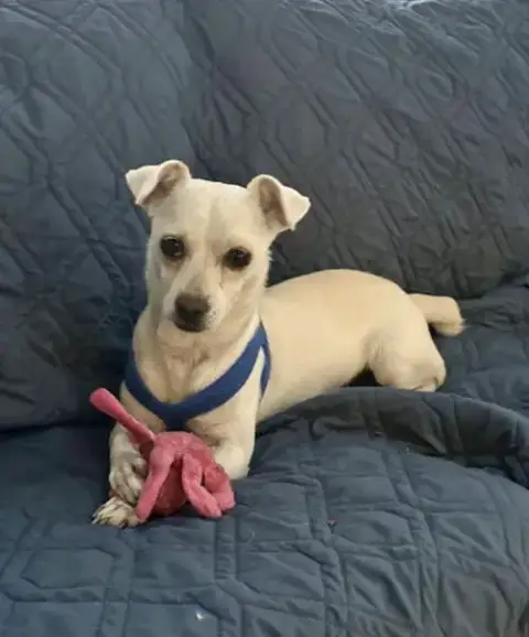 Casper photo 4