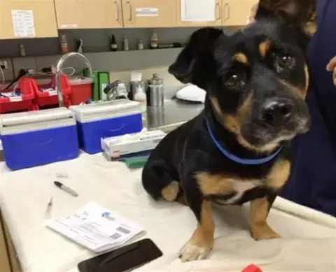 Max