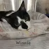 Winnie photo 2