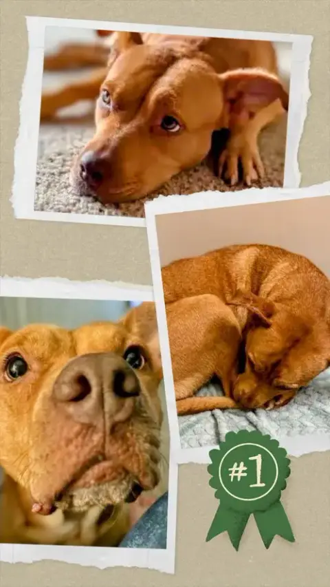 Penny Tn photo 4