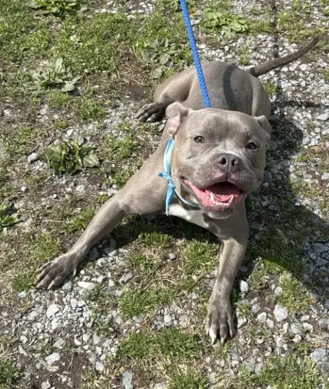 Smiley Sam