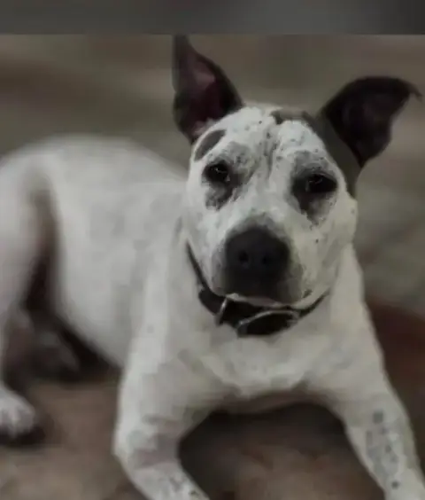 Trinity- Certified Good Girl photo 3