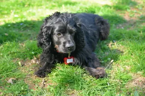 Bella photo 2