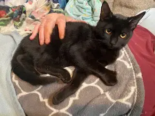 Melba W/Salem
