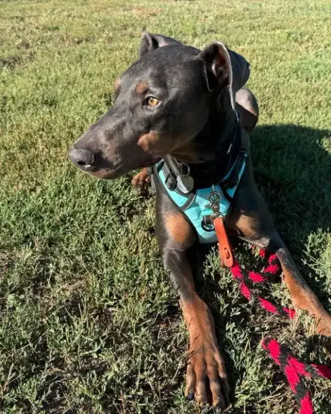 Jax photo 2