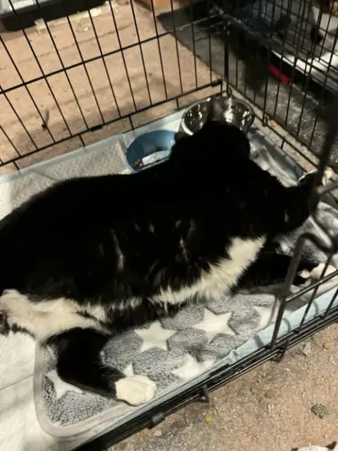 Winnie photo 3