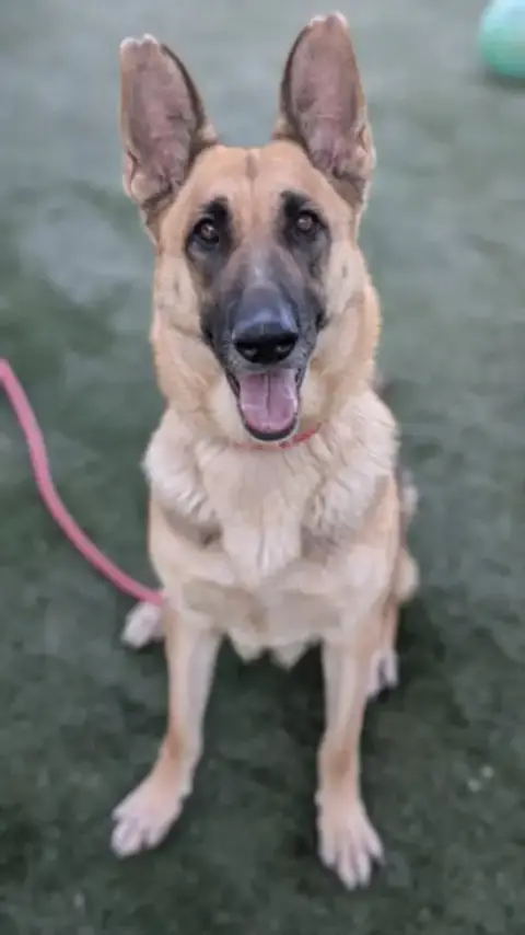 Nadia