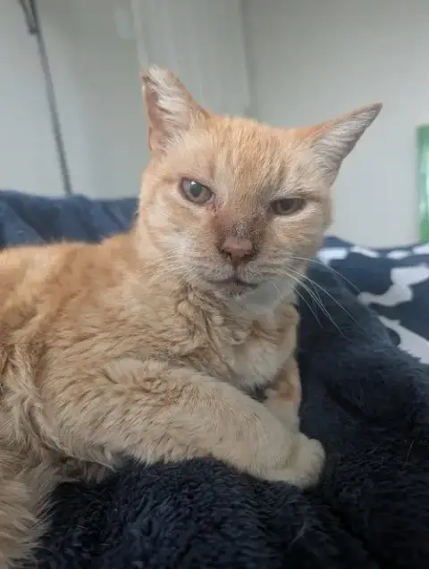 Charlie