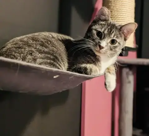 Karma photo 2