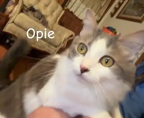 Opie
