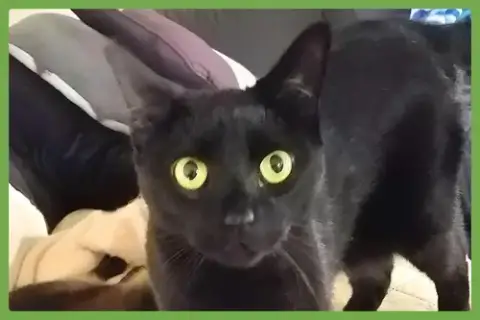 Barry